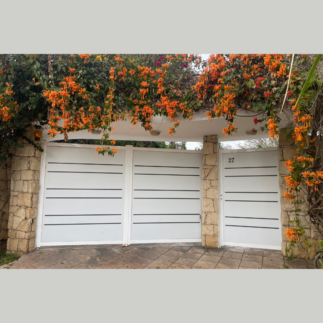 Portails Battants en Acier Galvanisé